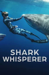Shark-Whisperer